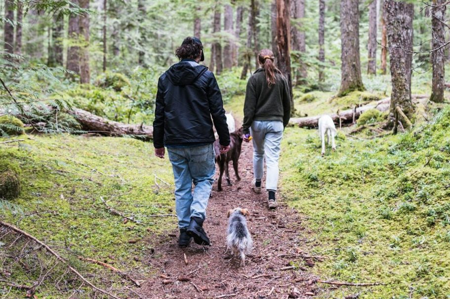 Social walks, Hundespaziergang, Hundebegegnungen Spass und Lernen Hundeschule in Bonn, Trainerin Ursula Paus führt Lernspaziergänge, social Walks. Sozialisierung, Hundebegegnung, Lernen auf Augenhöhe